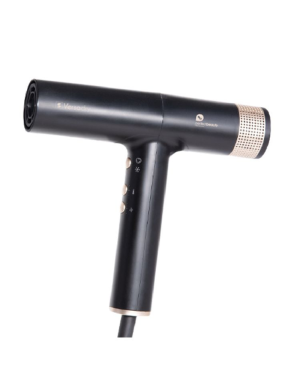 Secador Profesional Versa...