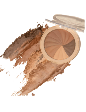 Polvo Bronceador Excellence...